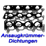 Ansaugkrümmerdichtungen