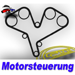 Motorsteuerung mechanisch
