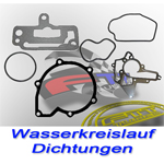 Wasserkreislauf Dichtungen