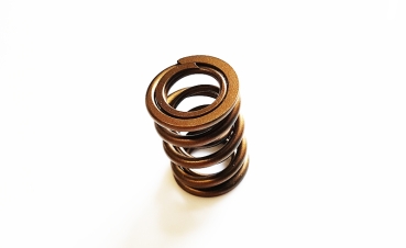 Doppelventilfeder / DUAL SPRING