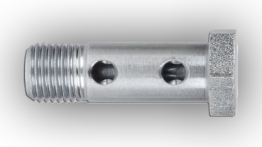 M10x1 Hohlschraube 2-fach Stahl verzinkt
