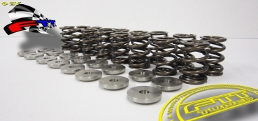 Ventilfedersatz 2,0L 16V Z20 Z22 TITAN @ Dual Spring